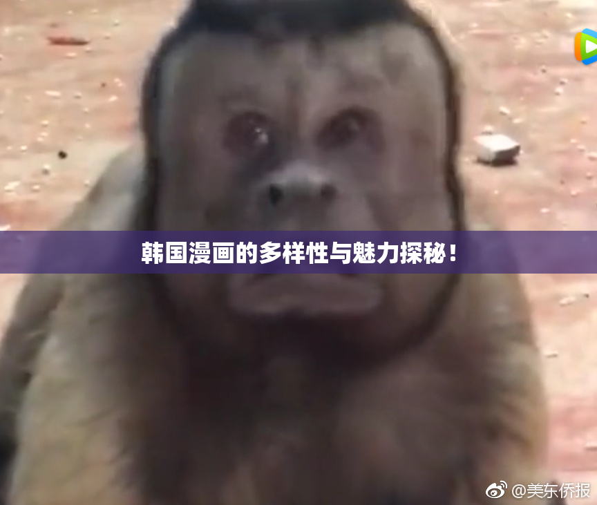 韩国漫画的多样性与魅力探秘！