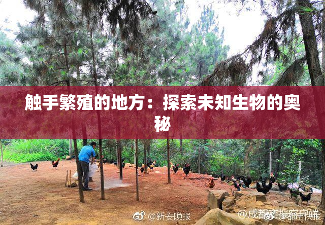触手繁殖的地方：探索未知生物的奥秘