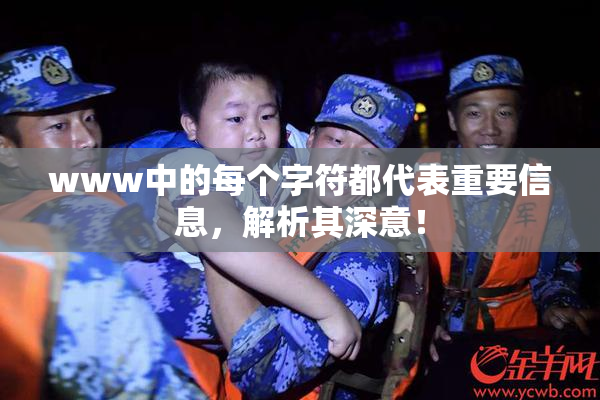 www中的每个字符都代表重要信息，解析其深意！