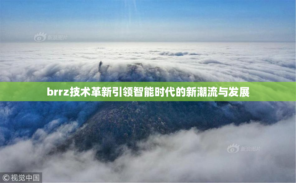 brrz技术革新引领智能时代的新潮流与发展