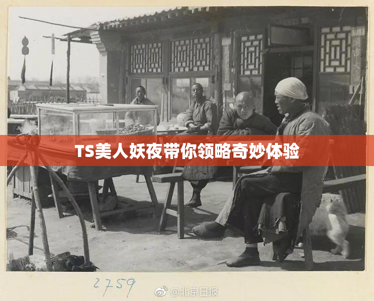 TS美人妖夜带你领略奇妙体验