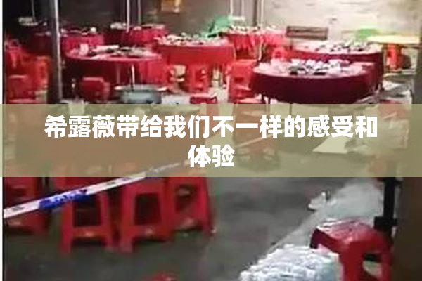 希露薇带给我们不一样的感受和体验