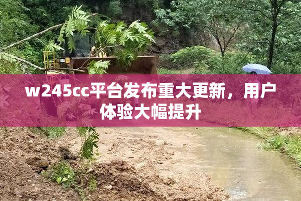 w245cc平台发布重大更新，用户体验大幅提升