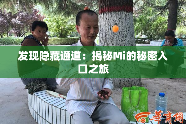 发现隐藏通道：揭秘Mi的秘密入口之旅