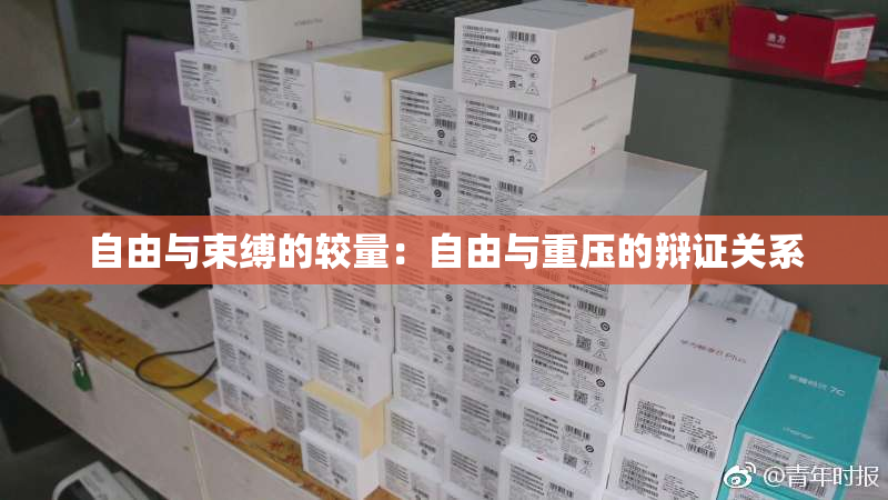 自由与束缚的较量：自由与重压的辩证关系
