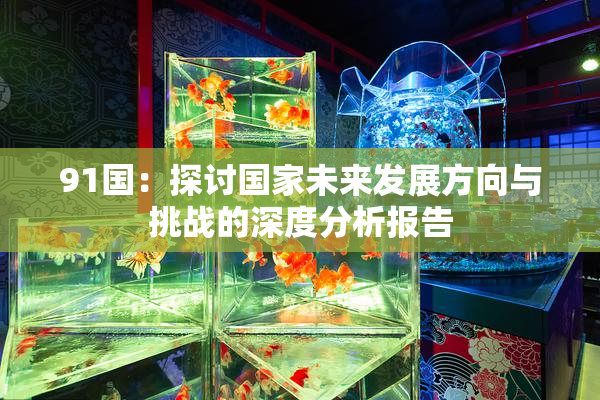91国：探讨国家未来发展方向与挑战的深度分析报告