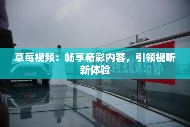草莓视频：畅享精彩内容，引领视听新体验