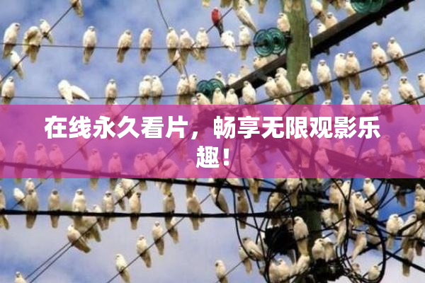 在线永久看片，畅享无限观影乐趣！