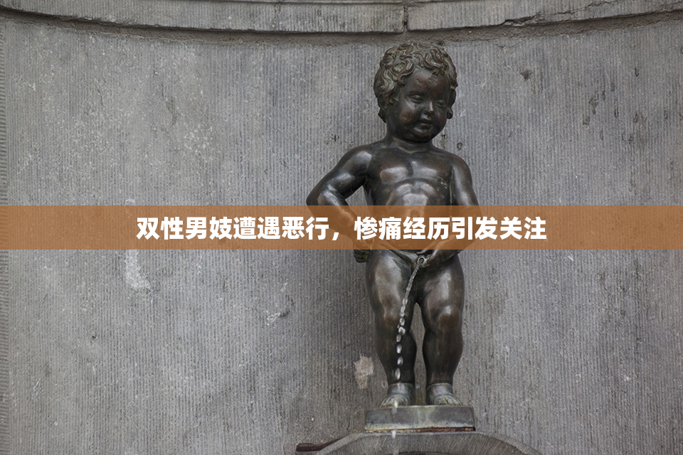 双性男妓遭遇恶行，惨痛经历引发关注