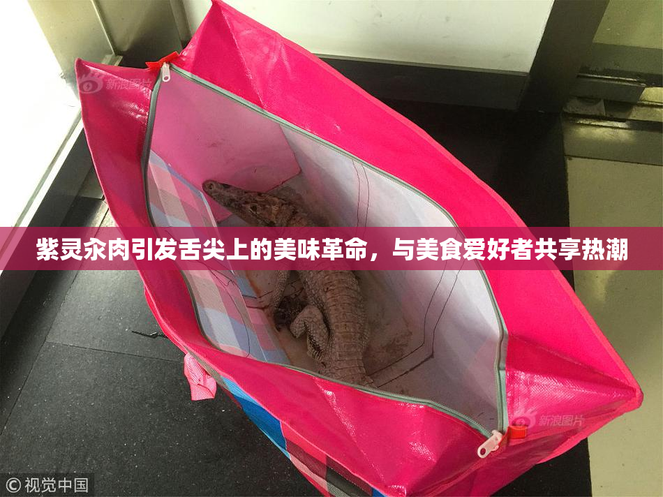 紫灵汆肉引发舌尖上的美味革命，与美食爱好者共享热潮