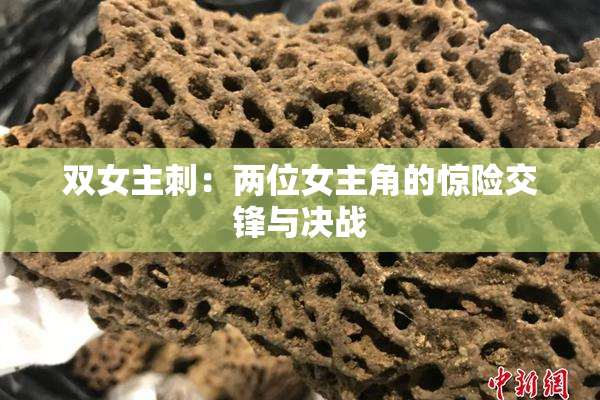 双女主刺：两位女主角的惊险交锋与决战