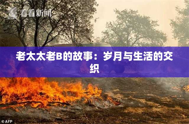 老太太老B的故事：岁月与生活的交织
