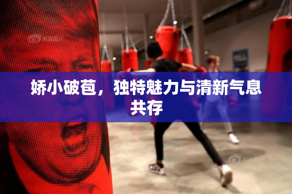 娇小破苞，独特魅力与清新气息共存