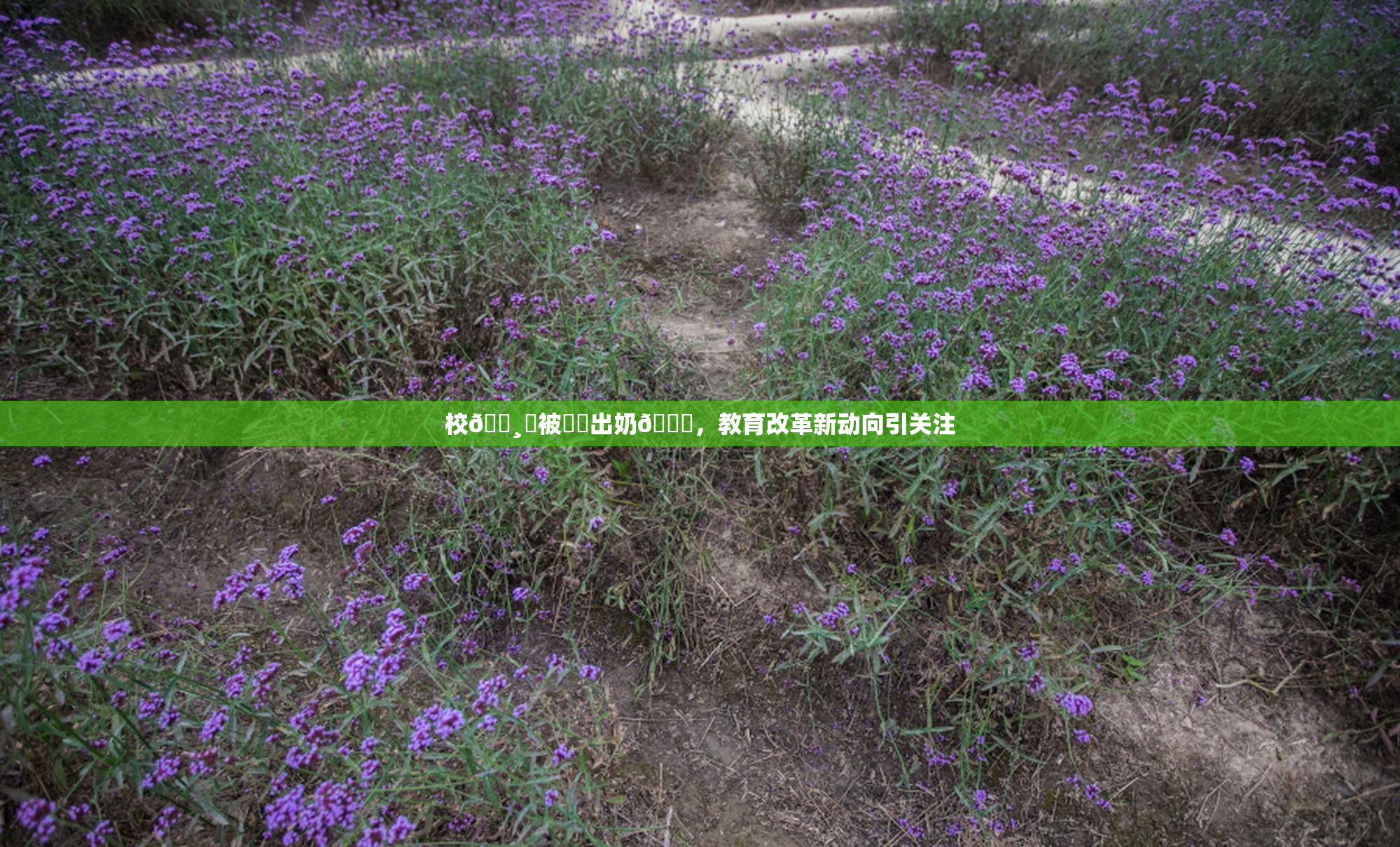 校🌸‌被❌‌出奶🔞，教育改革新动向引关注