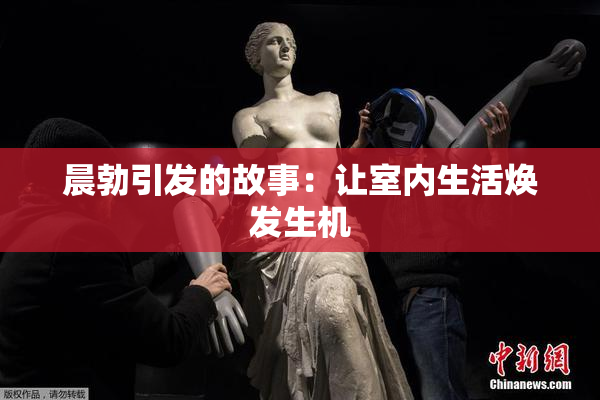 晨勃引发的故事：让室内生活焕发生机
