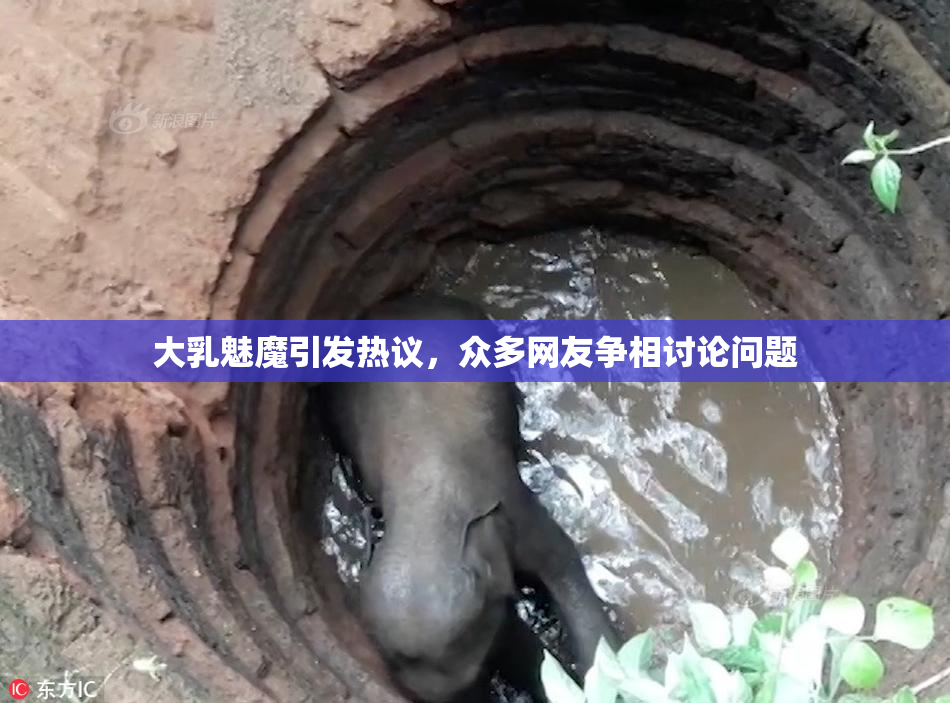 大乳魅魔引发热议，众多网友争相讨论问题