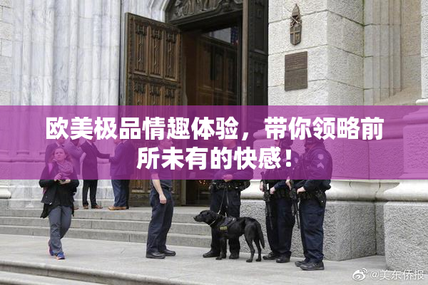 欧美极品情趣体验，带你领略前所未有的快感！