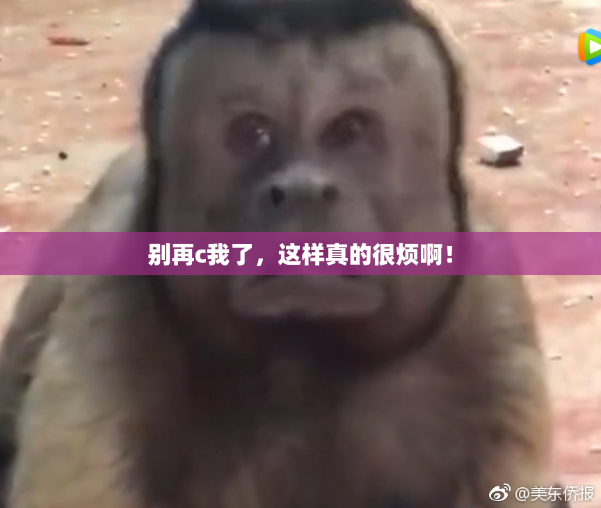 别再c我了，这样真的很烦啊！