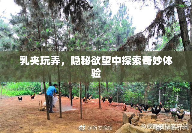乳夹玩弄，隐秘欲望中探索奇妙体验