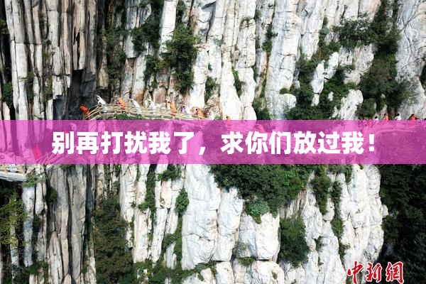 别再打扰我了，求你们放过我！