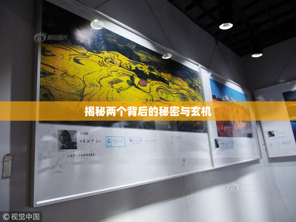 揭秘两个背后的秘密与玄机