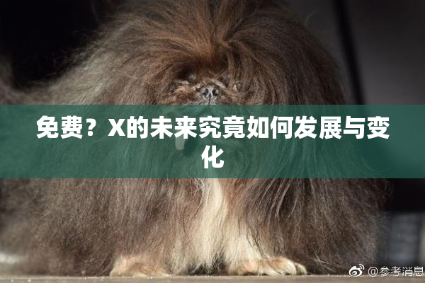 免费？X的未来究竟如何发展与变化