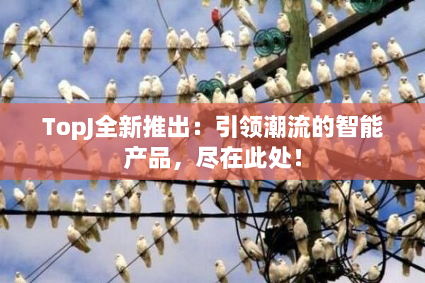 TopJ全新推出：引领潮流的智能产品，尽在此处！