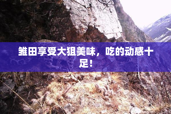 雏田享受大狙美味，吃的动感十足！