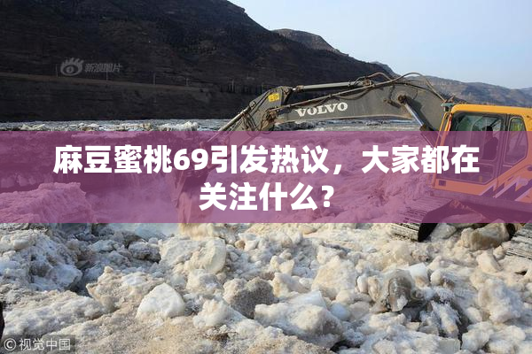麻豆蜜桃69引发热议，大家都在关注什么？