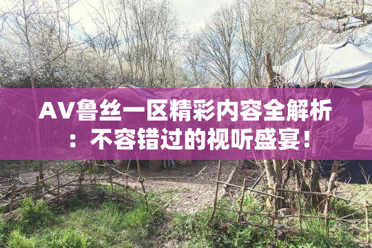 AV鲁丝一区精彩内容全解析：不容错过的视听盛宴！