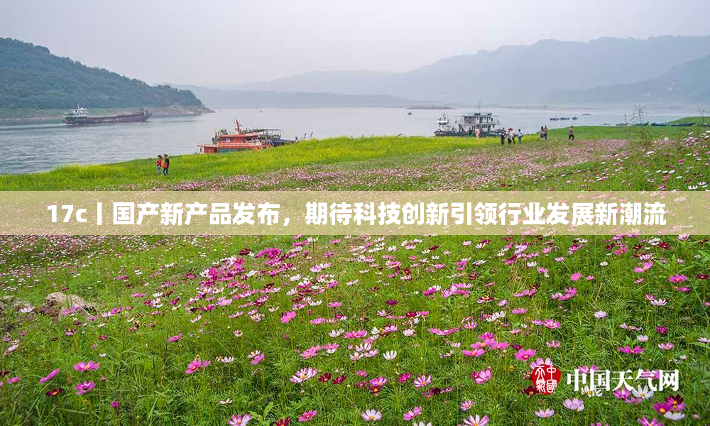 17c丨国产新产品发布，期待科技创新引领行业发展新潮流