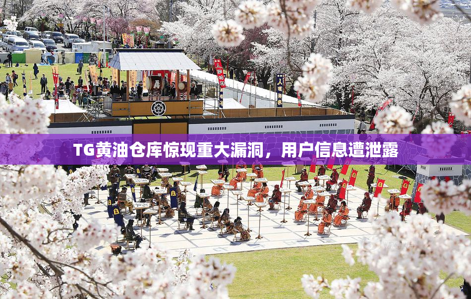 TG黄油仓库惊现重大漏洞，用户信息遭泄露