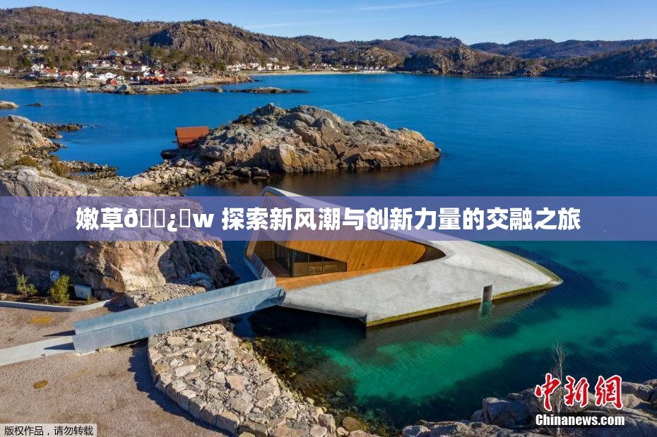 嫩草🌿‌w 探索新风潮与创新力量的交融之旅