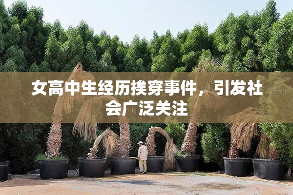 女高中生经历挨穿事件，引发社会广泛关注