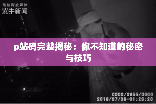 p站码完整揭秘：你不知道的秘密与技巧