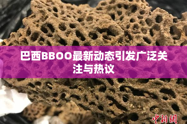 巴西BBOO最新动态引发广泛关注与热议