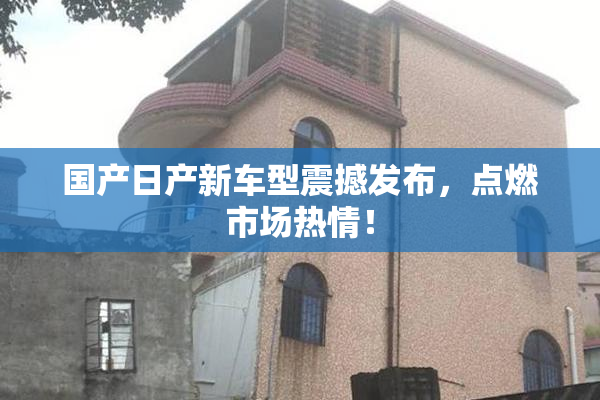 国产日产新车型震撼发布，点燃市场热情！