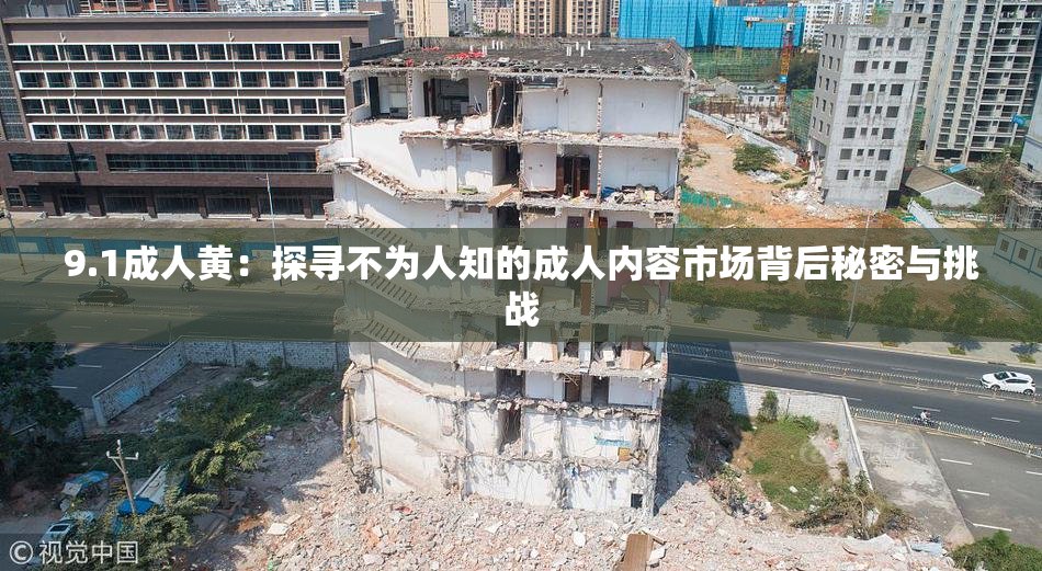 9.1成人黄：探寻不为人知的成人内容市场背后秘密与挑战