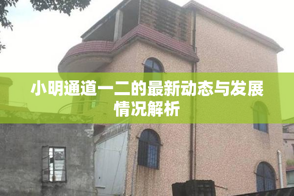小明通道一二的最新动态与发展情况解析