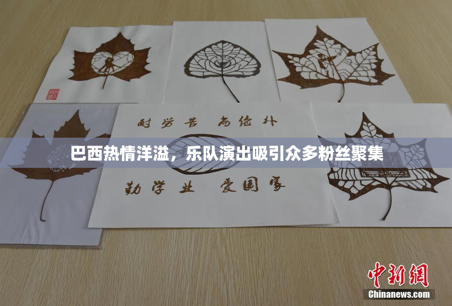 巴西热情洋溢，乐队演出吸引众多粉丝聚集