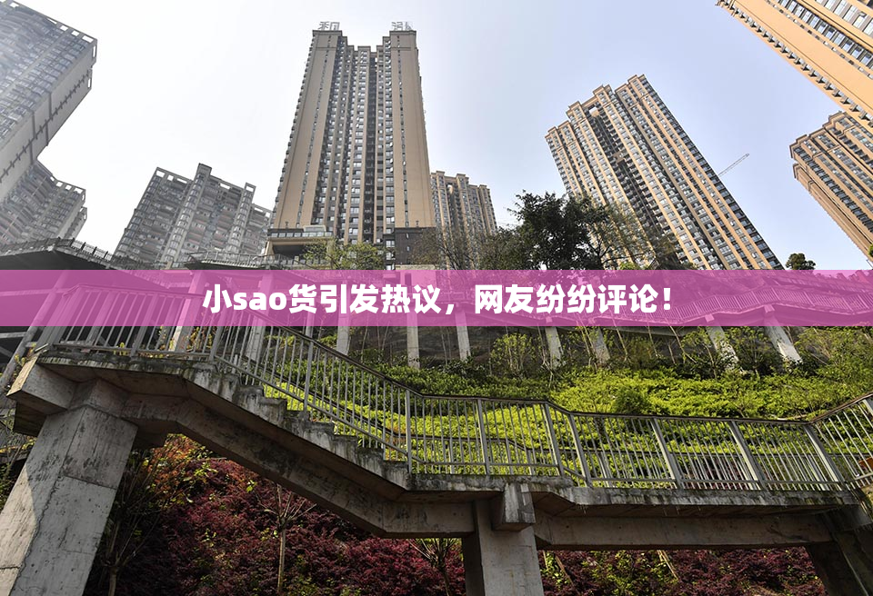 小sao货引发热议，网友纷纷评论！