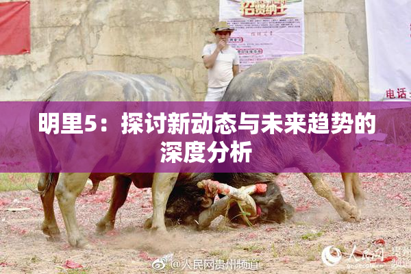 明里5：探讨新动态与未来趋势的深度分析