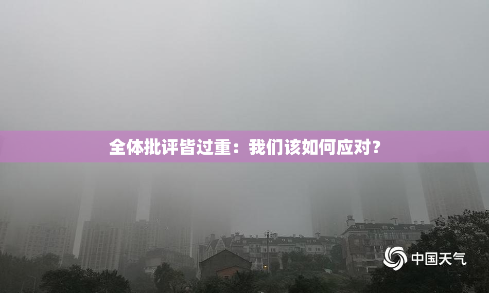 全体批评皆过重：我们该如何应对？