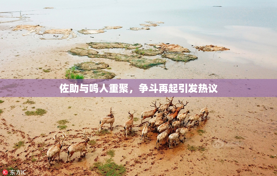 佐助与鸣人重聚，争斗再起引发热议