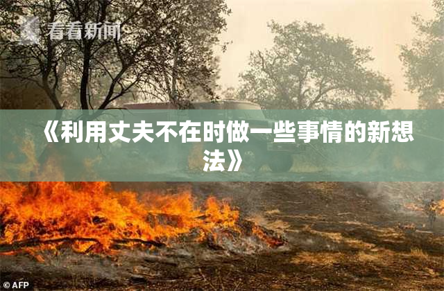《利用丈夫不在时做一些事情的新想法》