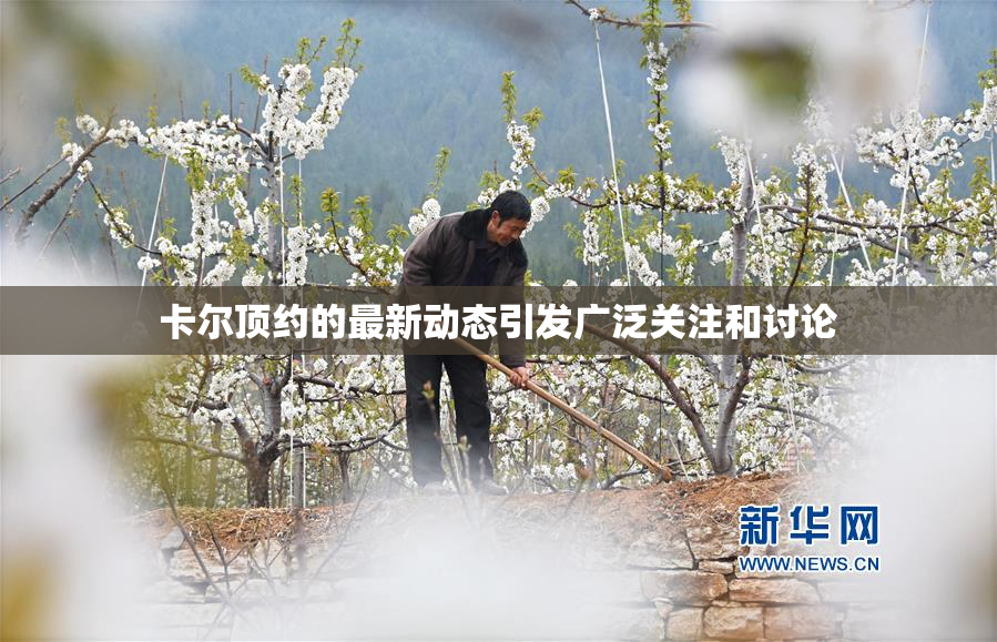 卡尔顶约的最新动态引发广泛关注和讨论