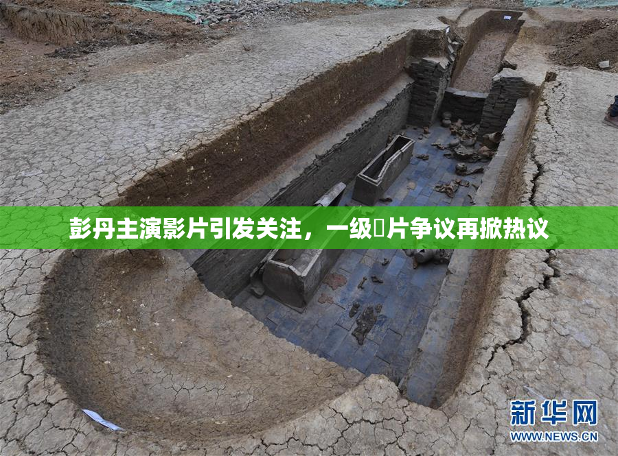 彭丹主演影片引发关注，一级婬片争议再掀热议