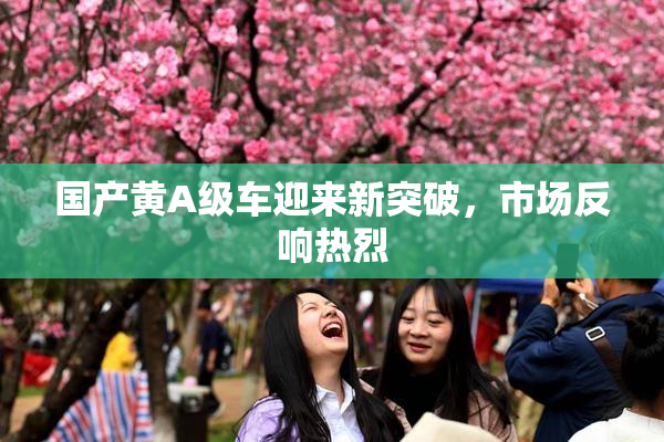 国产黄A级车迎来新突破，市场反响热烈