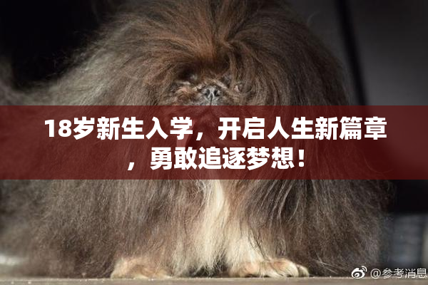 18岁新生入学，开启人生新篇章，勇敢追逐梦想！