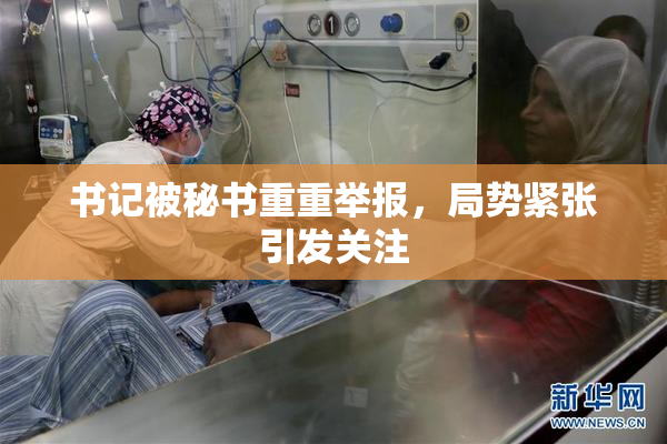 书记被秘书重重举报，局势紧张引发关注